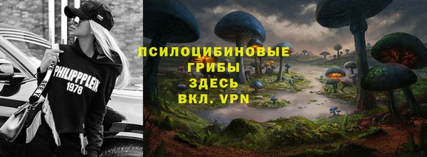 МДПВ Алзамай
