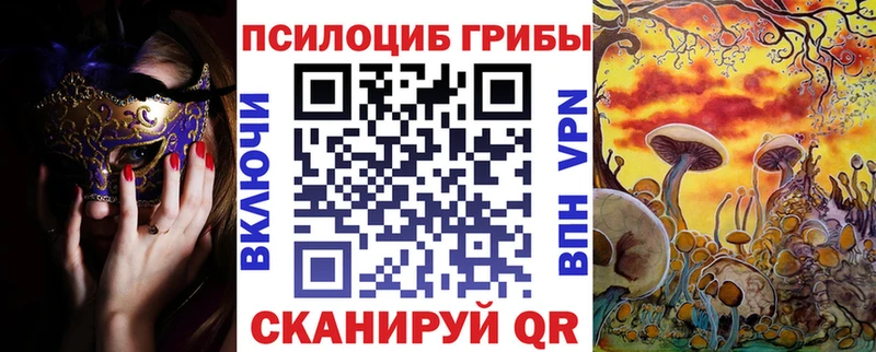 закладки  Феодосия  Галлюциногенные грибы Magic Shrooms 