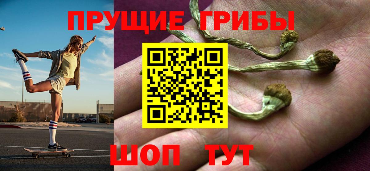 Галлюциногенные грибы прущие грибы  Галлюциногенные грибы прущие грибы  Феодосия  Вход с VPN 